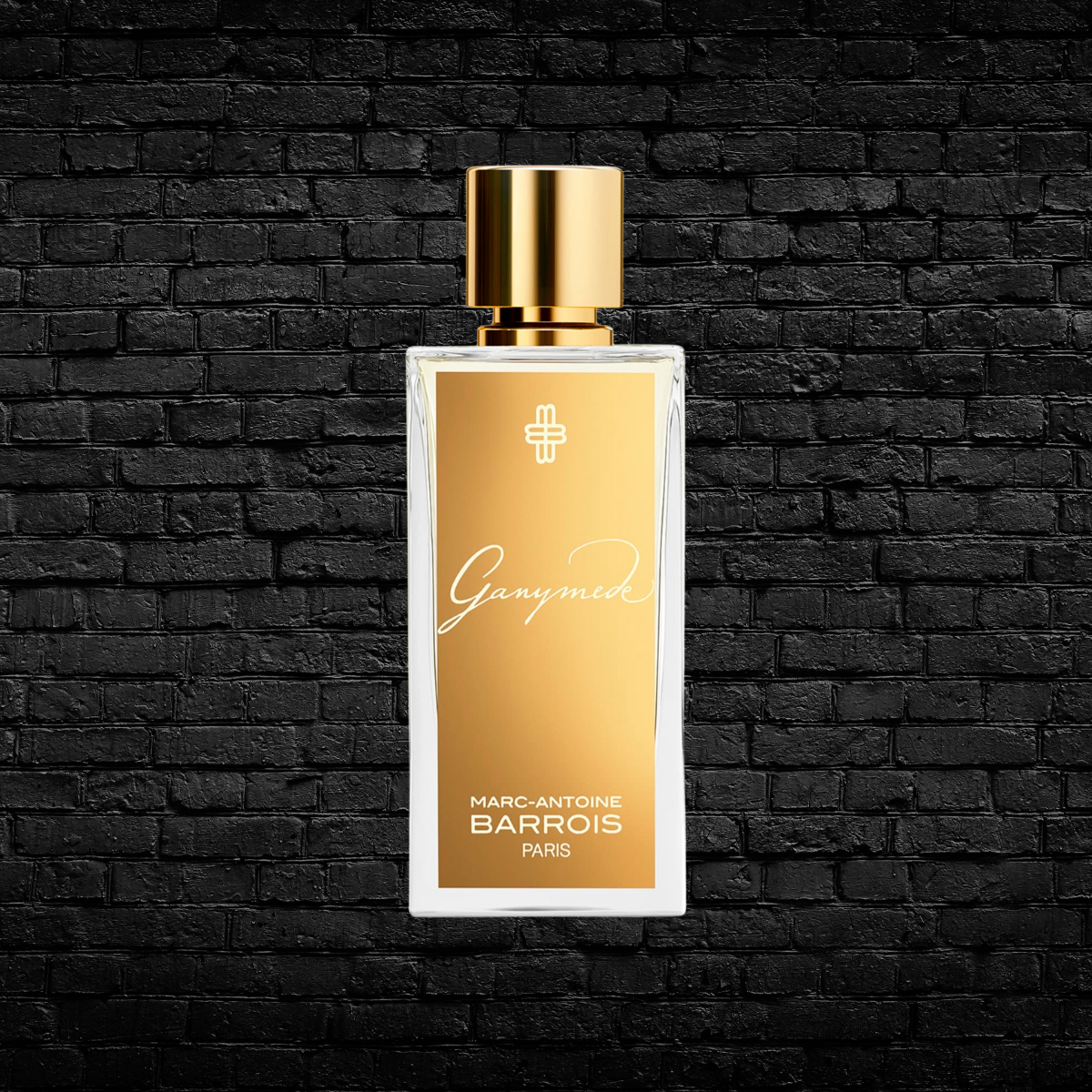 Ganymede EDP