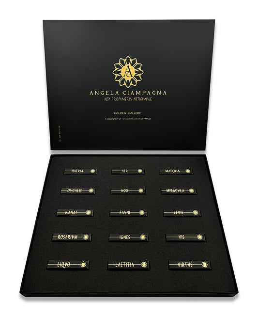GOLDEN GALLERY DISCOVERY SET