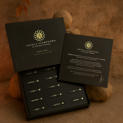 GOLDEN GALLERY DISCOVERY SET