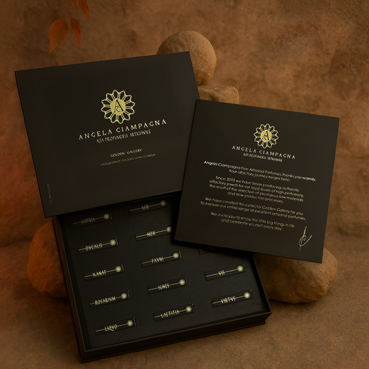 GOLDEN GALLERY DISCOVERY SET