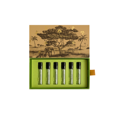 Réserve en Afrique Discovery Set