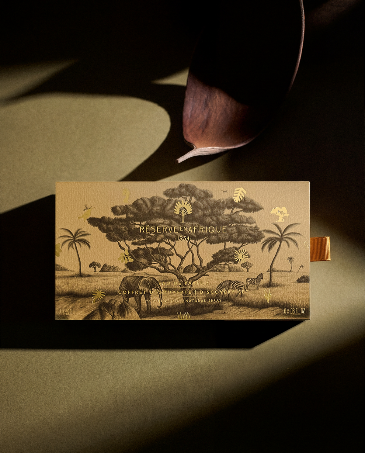 Réserve en Afrique Discovery Set